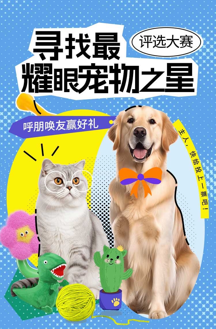 寻找最耀眼的宠物之星！